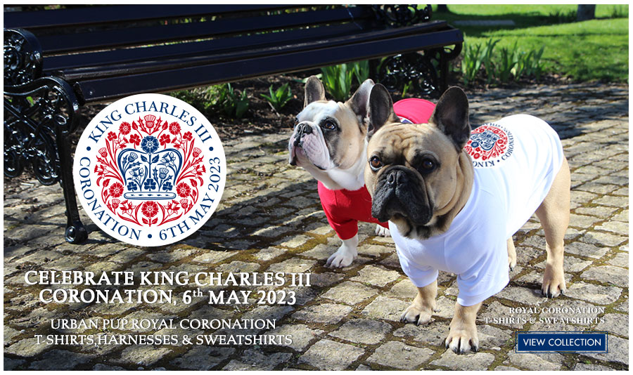The Queen's Platinum Jubilee Dog T-Shirts