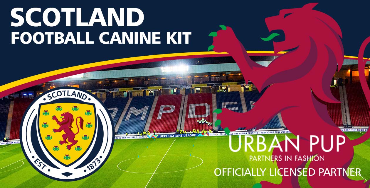Scotland Football Canine Kit